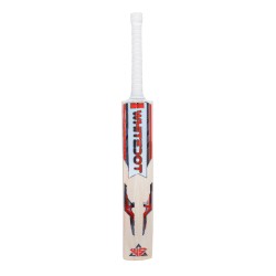 Whitedot Summer Grade 1 English Willow Nurtured Cricket Bat