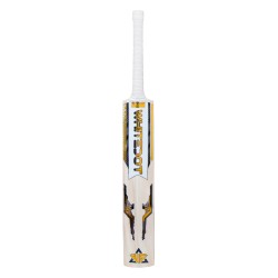 Whitedot Versed Grade 1 English Willow Nurtured Cricket Bat