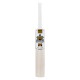 Whitedot Versed Grade 1 English Willow Nurtured Cricket Bat