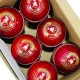 Whitedot Summer Red Cricket Leather Ball - 50 Over - Pack of 6