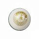 Whitedot Dot 1.0 White Cricket Leather Ball - 20 Over - Pack of 6