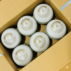 Whitedot Albatross White Cricket Leather Ball - 40 Over - Pack of 6