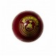 Whitedot Dot 1.0 Red Cricket Leather Ball - 20 Over - Pack of 6