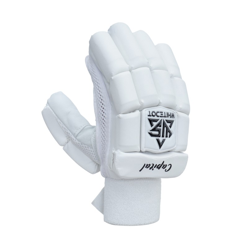 Whitedot EC2 Cricket Combo Kit