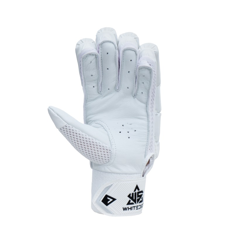Whitedot EC2 Cricket Combo Kit
