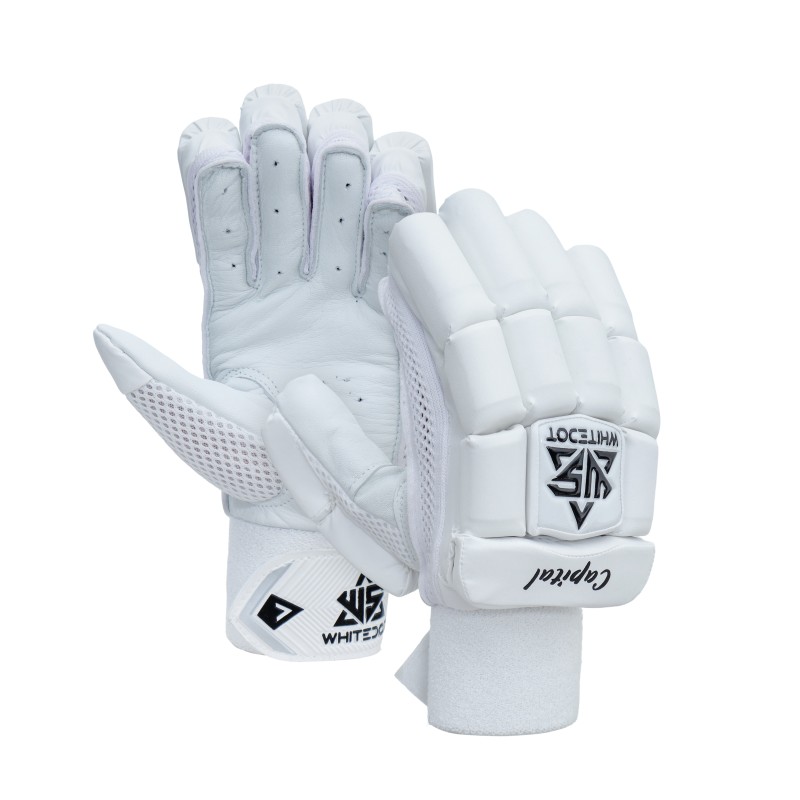 Whitedot EC2 Cricket Combo Kit