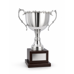 Whitedot Beta Metal Trophy - 13 Inch