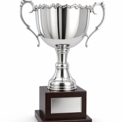 Whitedot Beta Metal Trophy - 13 Inch