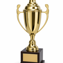Whitedot Gamma Metal Trophy - 16 Inch