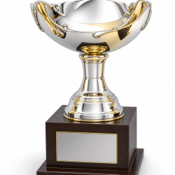 Whitedot Delta Metal Trophy - 9 Inch