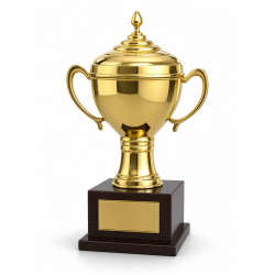 Whitedot Zeta Metal Trophy - 18 Inch