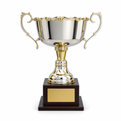 Whitedot Iota Metal Trophy - 7.5 Inch
