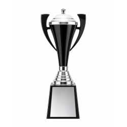 Whitedot Xi Metal Trophy - 17 Inch Whitedot Xi Metal Trophy - 17 Inch