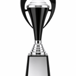 Whitedot Xi Metal Trophy - 17 Inch