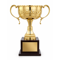 Whitedot Omicron Metal Trophy - 13 Inch Whitedot Omicron Metal Trophy - 13 Inch