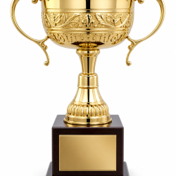 Whitedot Omicron Metal Trophy - 13 Inch