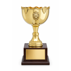 Whitedot Rho Metal Trophy - 13 Inch Whitedot Rho Metal Trophy - 13 Inch