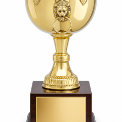 Whitedot Rho Metal Trophy - 13 Inch
