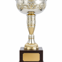 Whitedot Sigma Metal Trophy - 13 Inch