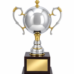 Whitedot Tau Metal Trophy - 14 Inch
