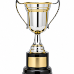 Whitedot Chi Metal Trophy - 6 Inch