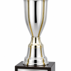 Whitedot Omega Metal Trophy - 10 Inch