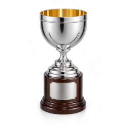 Whitedot Astra Metal Trophy - 6 Inch Whitedot Astra Metal Trophy - 6 Inch