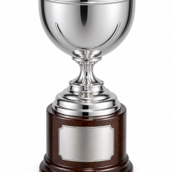 Whitedot Astra Metal Trophy - 6 Inch