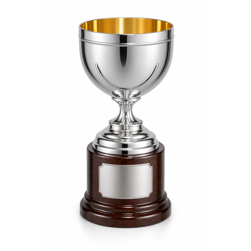 Whitedot Astra Metal Trophy - 6 Inch Whitedot Astra Metal Trophy - 6 Inch