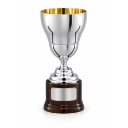 Whitedot Nova Metal Trophy - 6 Inch Whitedot Nova Metal Trophy - 6 Inch