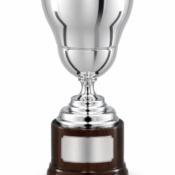 Whitedot Nova Metal Trophy - 6 Inch