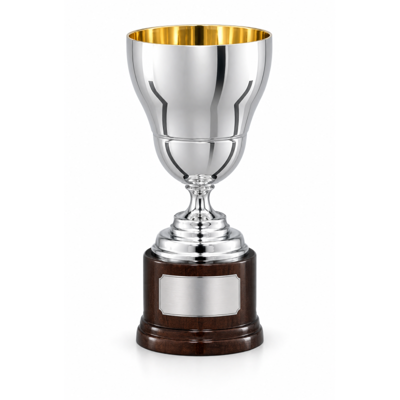 Whitedot Nova Metal Trophy - 6 Inch Whitedot Nova Metal Trophy - 6 Inch