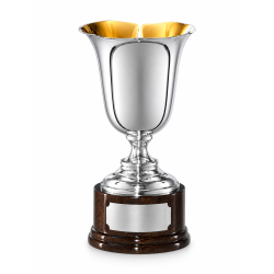 Whitedot Orion Metal Trophy - 6 Inch Whitedot Orion Metal Trophy - 6 Inch