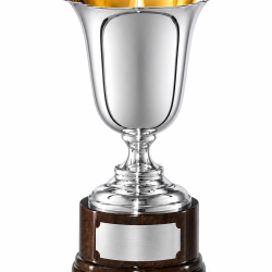 Whitedot Orion Metal Trophy - 6 Inch