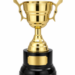 Whitedot Solis Metal Trophy - 5 Inch