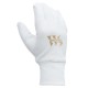 Whitedot Falcon Keeping Inner Gloves