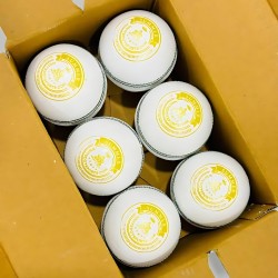 Whitedot Summer White Cricket Leather Ball - 50 Over Plus- Pack of 6
