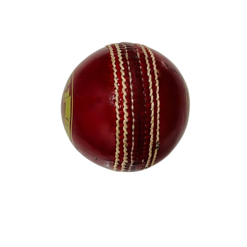 Whitedot Teal Red Cricket Leather Ball - 10 Over - Pack of 6 Whitedot Teal Red Cricket Leather Ball - 10 Over - Pack of 6