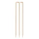 Whitedot White Wooden Stumps - Set of 3 stumps and 2 bails