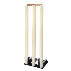 Whitedot Spring Stumps with 2 bails