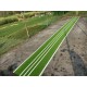 Turf for Cricket Pitch for All Types Use / Outdoor & Indoor 
